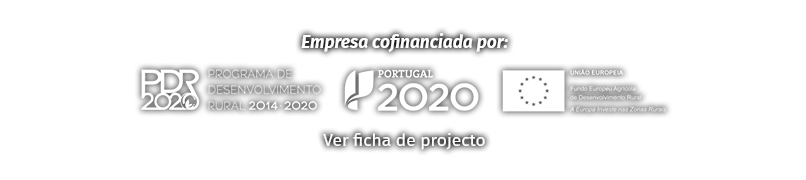 Programas Cofinanciados